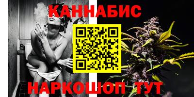 индика Краснознаменск