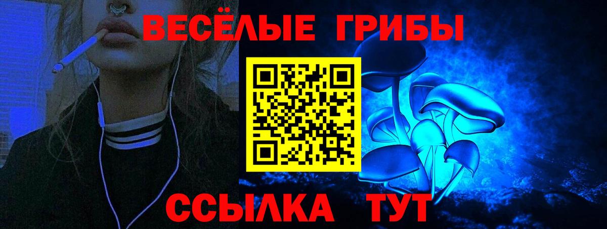 Галлюциногенные грибы мицелий Карталы