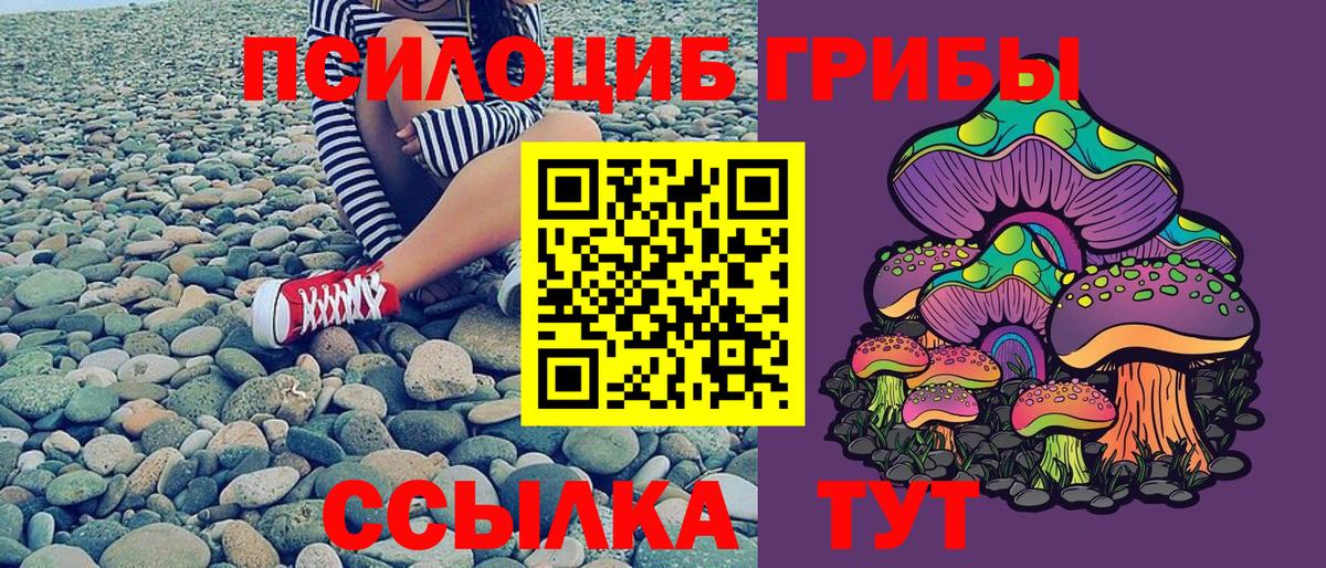 Галлюциногенные грибы Psilocybe  Вход с VPN  Карталы  Псилоцибиновые грибы Psilocybine cubensis 